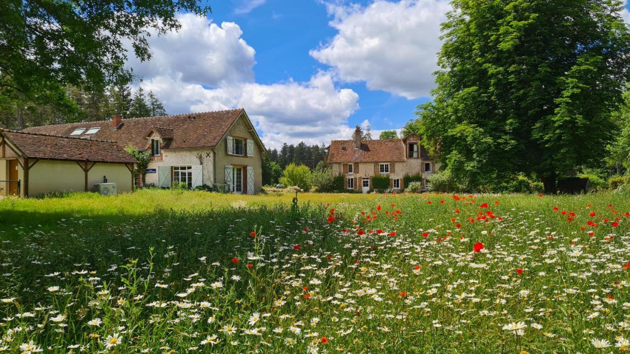 Chambres D'Hotes Le Moulin De Crouy Eksteriør billede